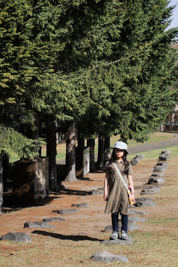 札幌芸術の森の写真3