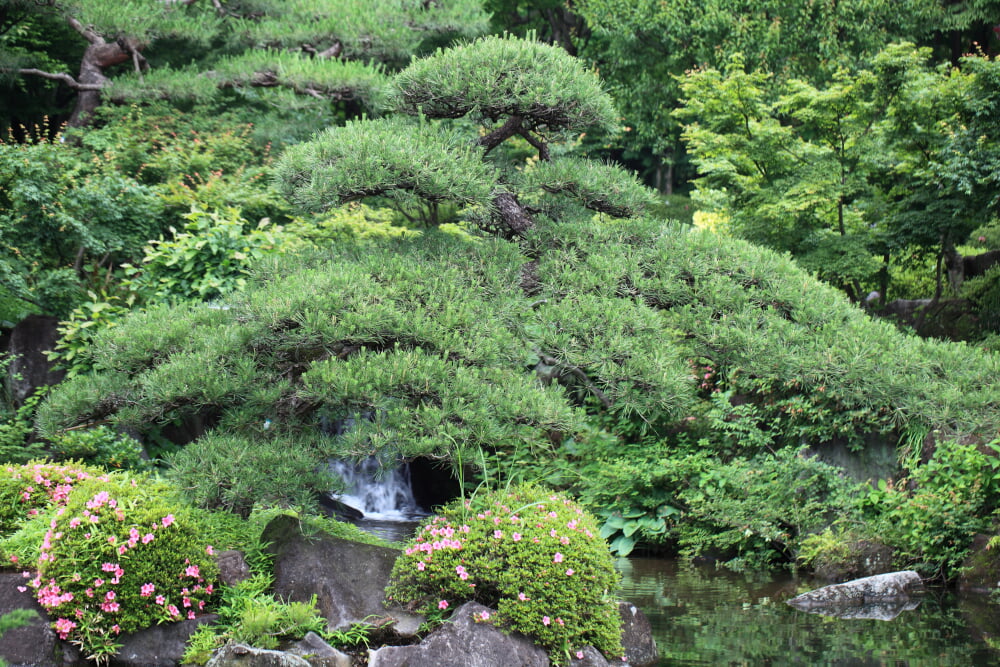 ぐんまフラワーパークの写真2