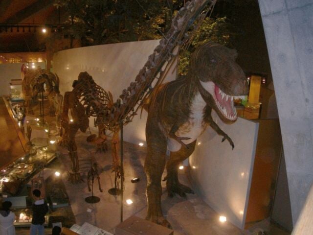 群馬県立自然史博物館の写真2
