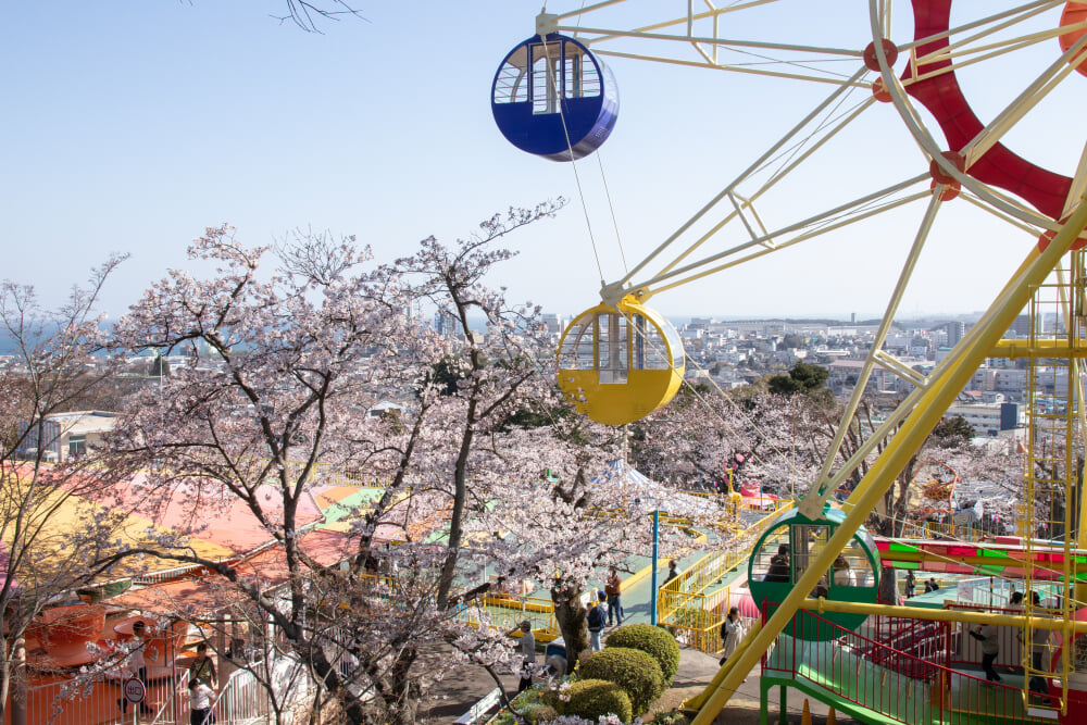 日立かみね公園 レジャーランド・動物園の写真4
