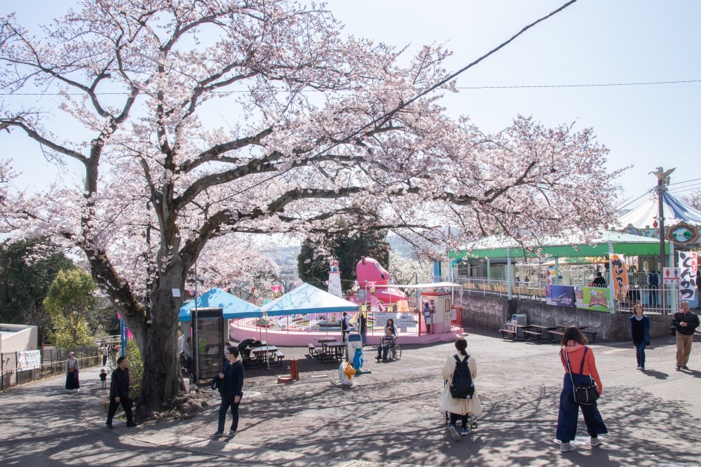 日立かみね公園 レジャーランド・動物園の写真8