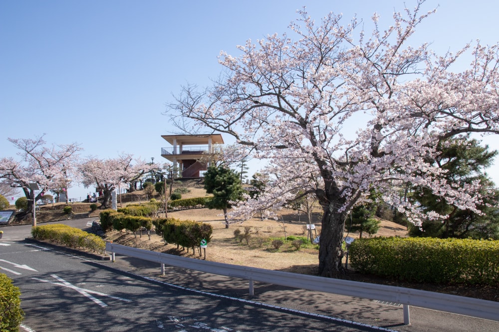 日立かみね公園 レジャーランド・動物園の写真9