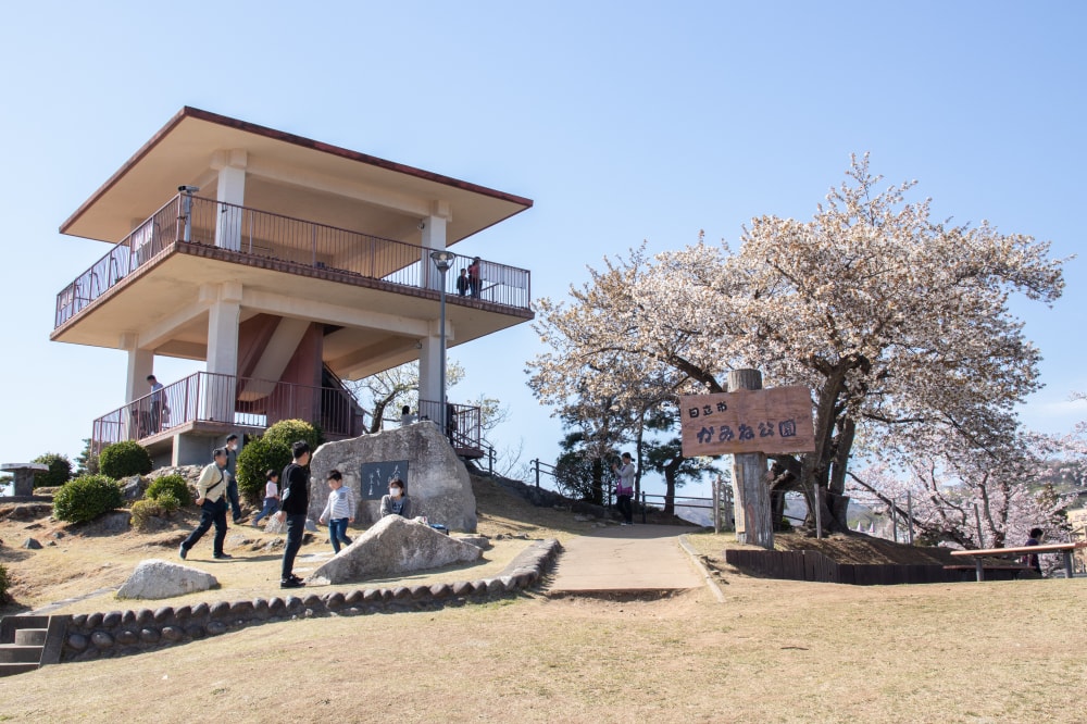 日立かみね公園 レジャーランド・動物園の写真10