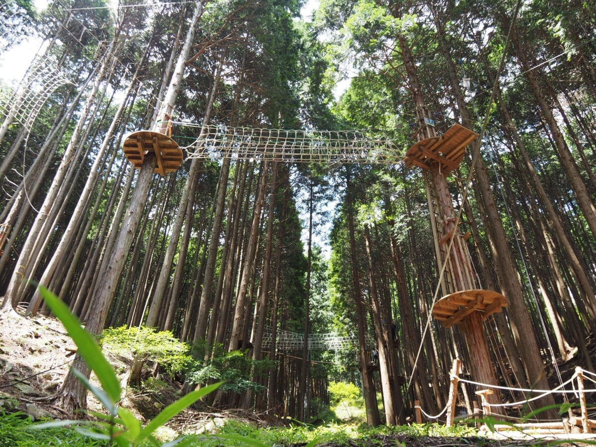 ボウケンノモリ のせの写真2