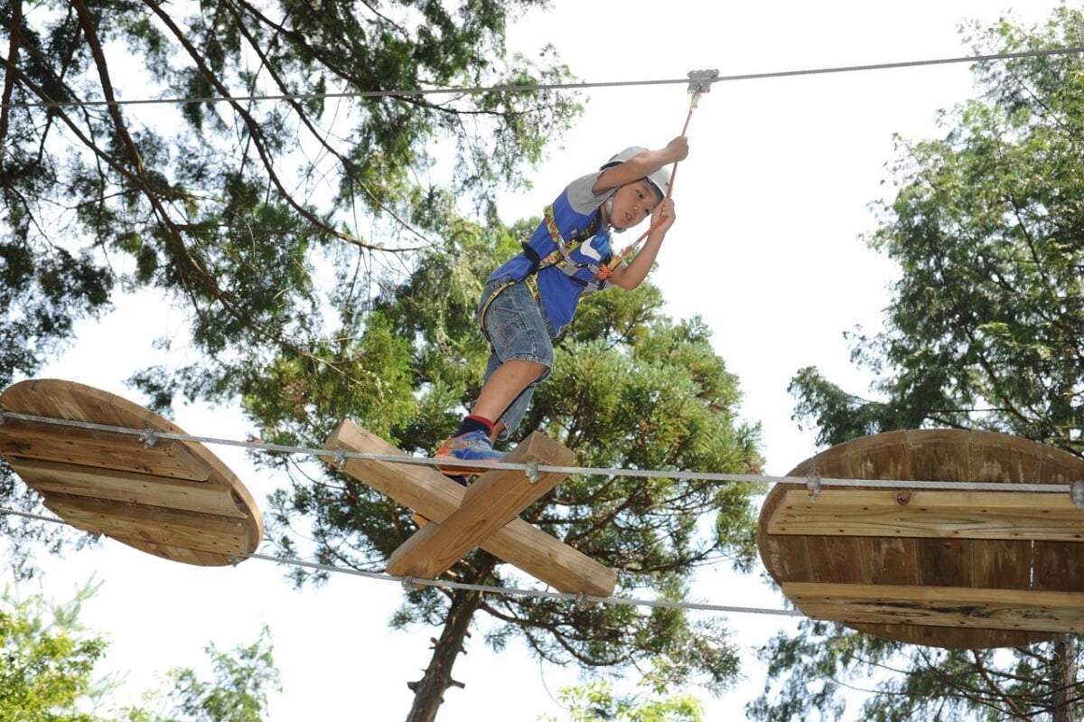 ボウケンノモリ のせの写真3