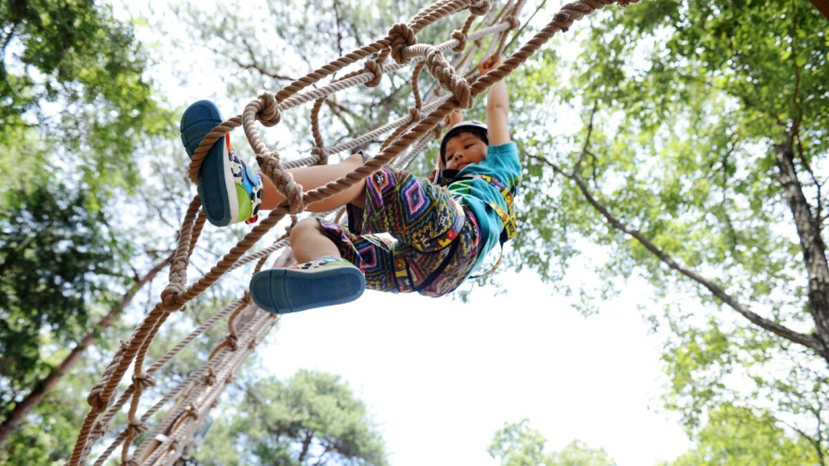 ボウケンノモリ のせの写真6