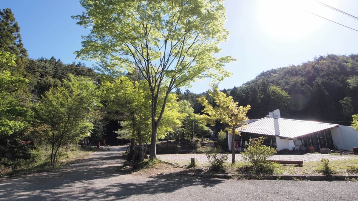 ボウケンノモリ のせの写真7