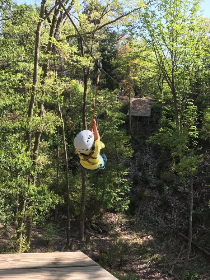 ボウケンノモリ のせの写真8