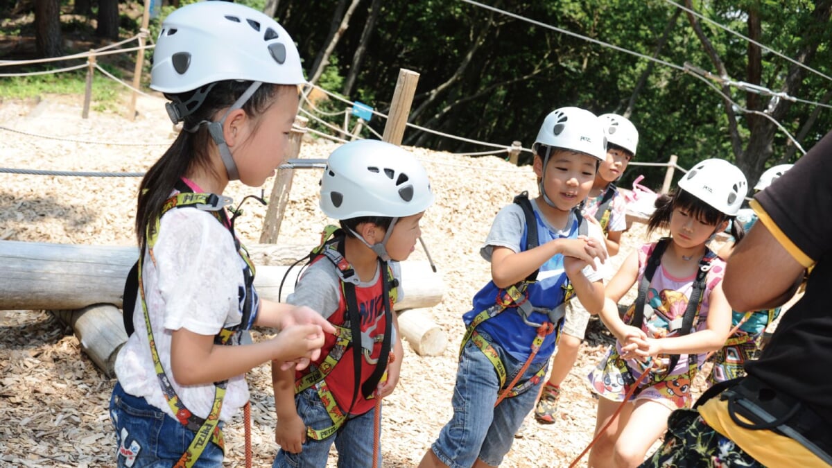 ボウケンノモリ のせの写真10