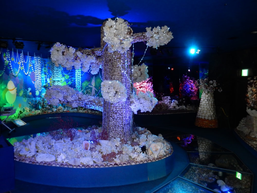 竹島ファンタジー館の写真5