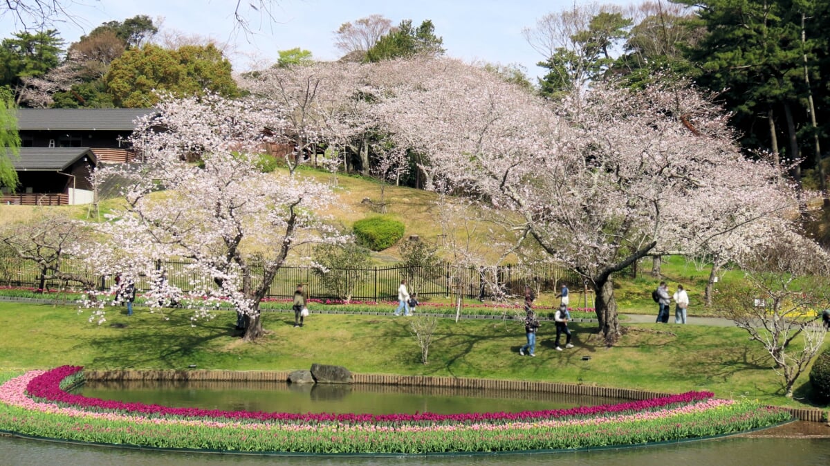はままつフラワーパークの写真2
