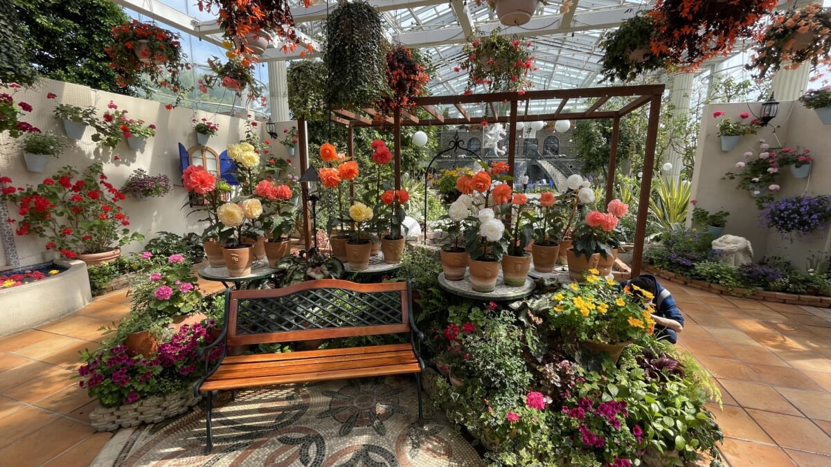 はままつフラワーパークの写真5