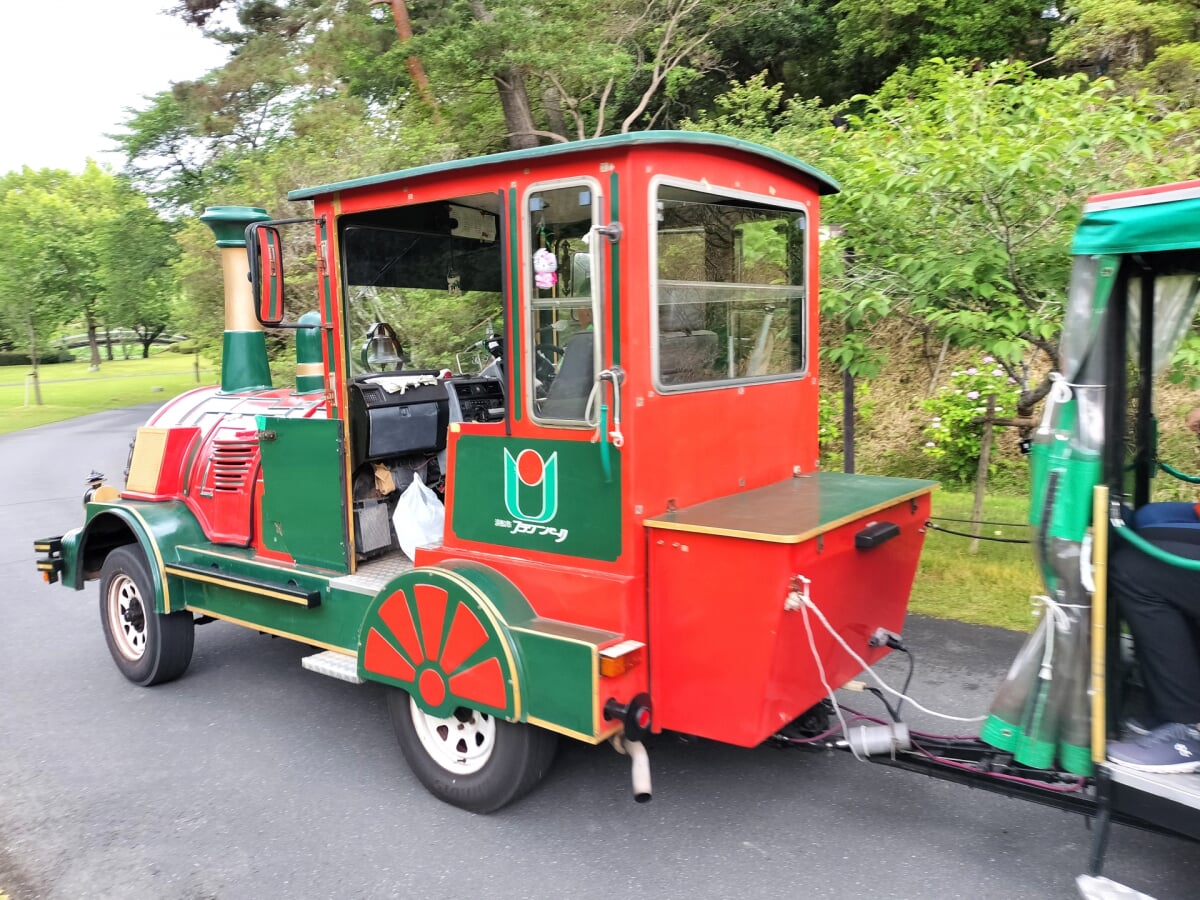 はままつフラワーパークの写真6