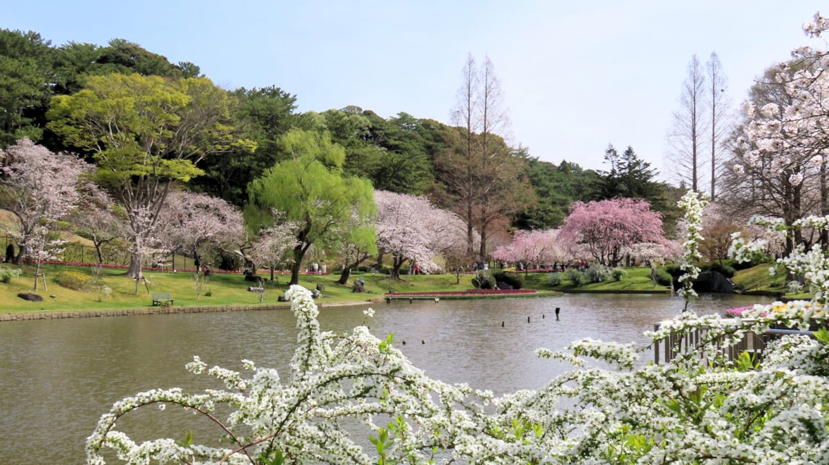 はままつフラワーパークの写真7