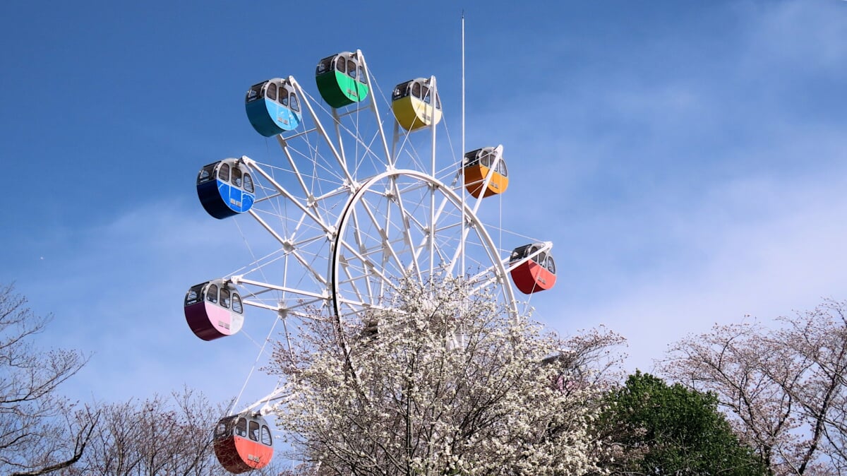 はままつフラワーパークの写真1