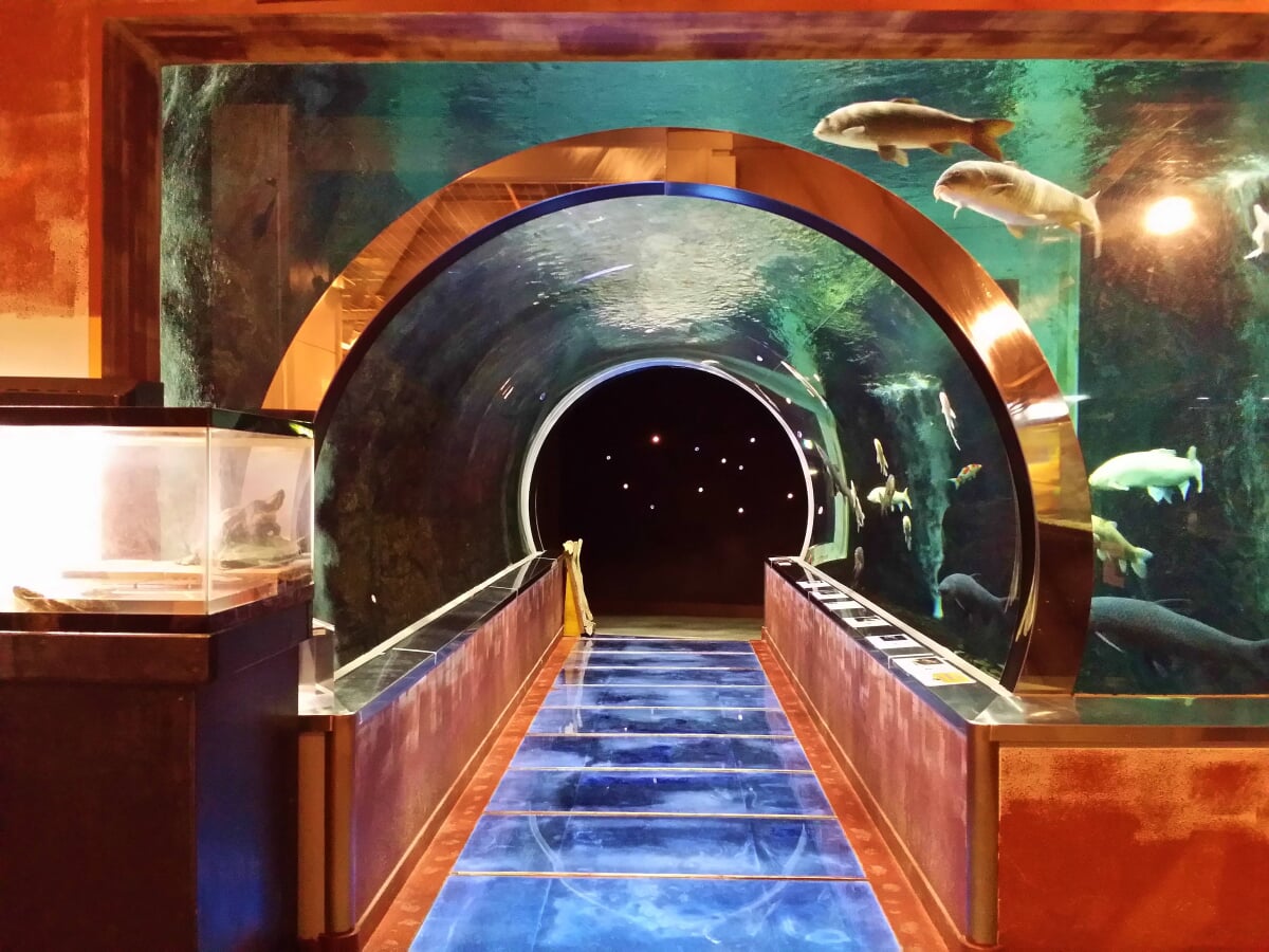 道の駅 みなかみ水紀行館の写真1