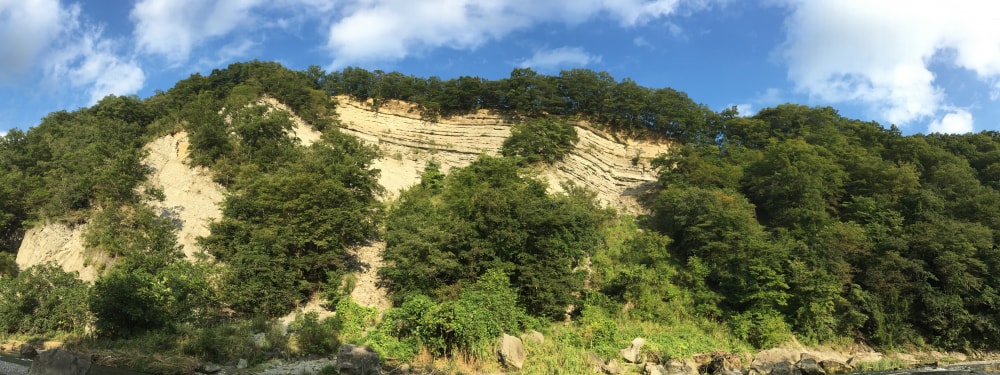 おがの化石館の写真2