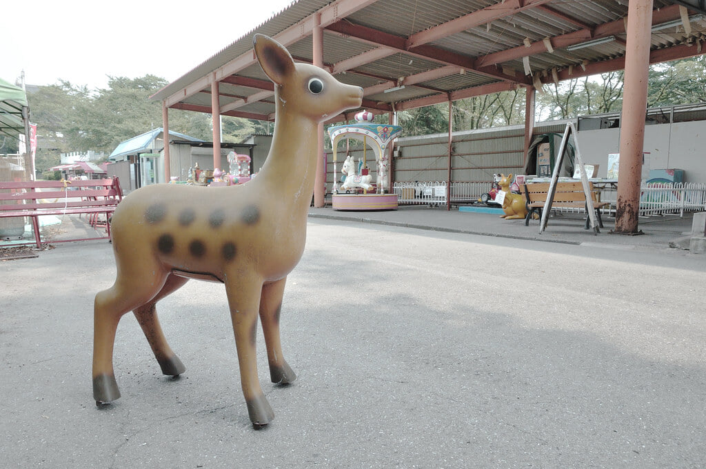 宇都宮動物園の写真9