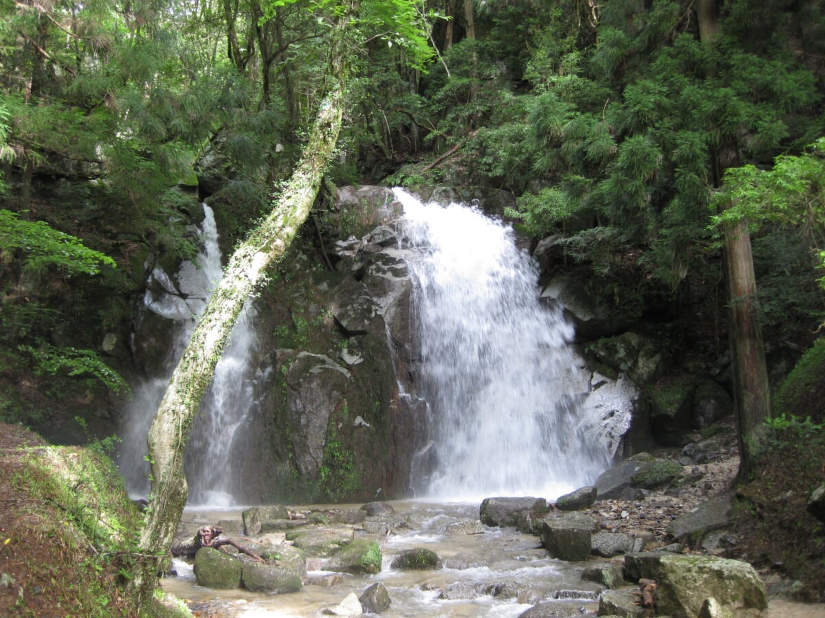 寿老の滝の写真1