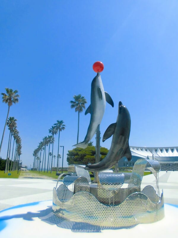 水族館 マリンワールド 海の中道の写真3