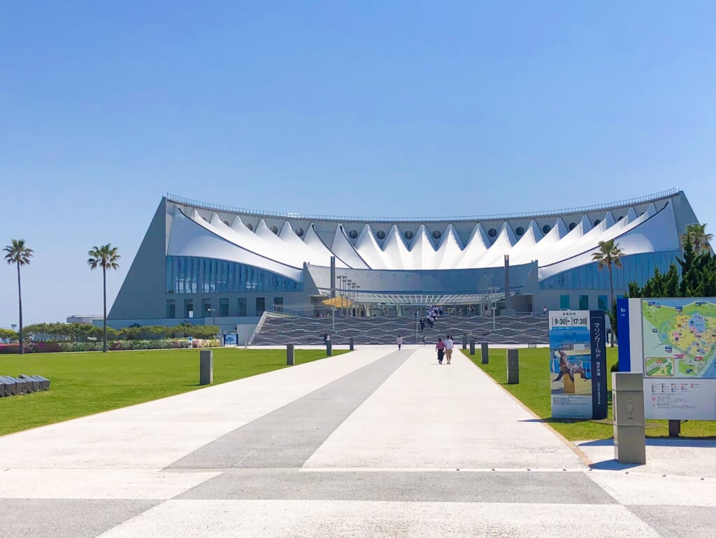 水族館 マリンワールド 海の中道の写真8