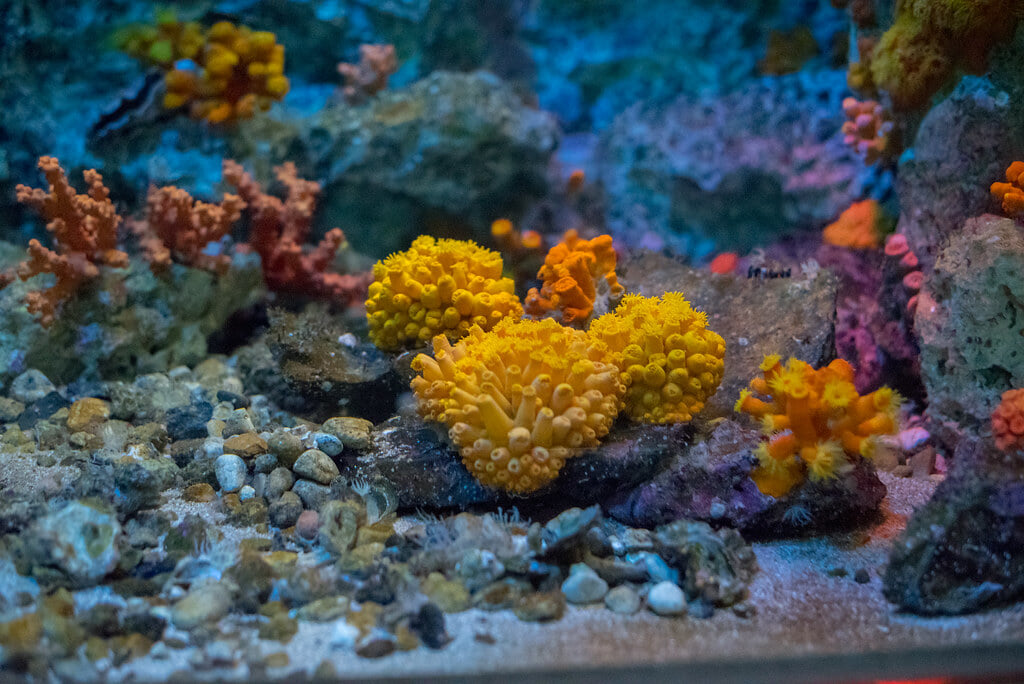 須磨海浜水族園の写真4