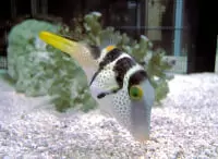 須磨海浜水族園