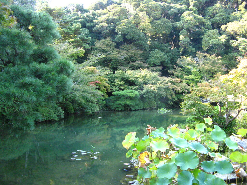 長府庭園の写真5