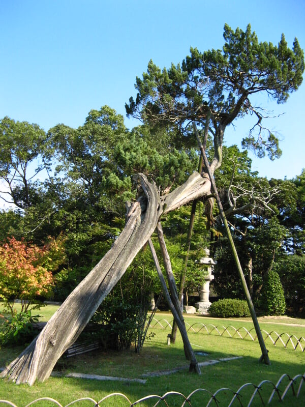 長府庭園の写真7