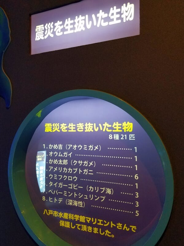 もぐらんぴあ・まちなか水族館の写真6