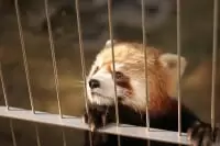 周南市 徳山動物園