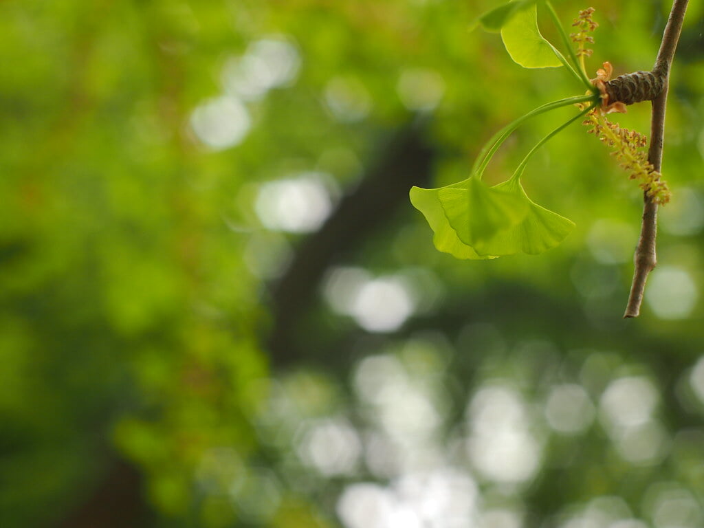 玉堂美術館の写真2