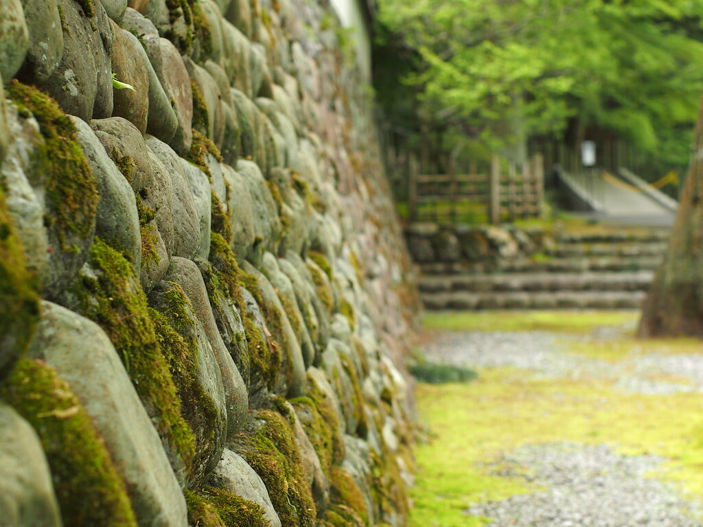 玉堂美術館の写真1