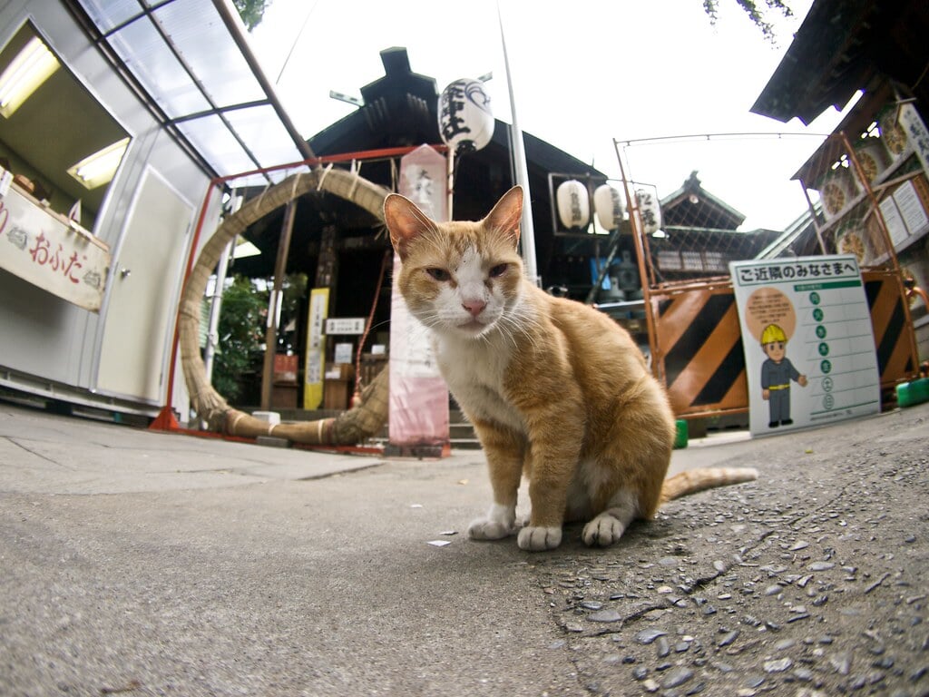 波除稲荷神社の写真1