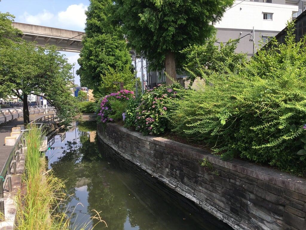 見沼代親水公園の写真2