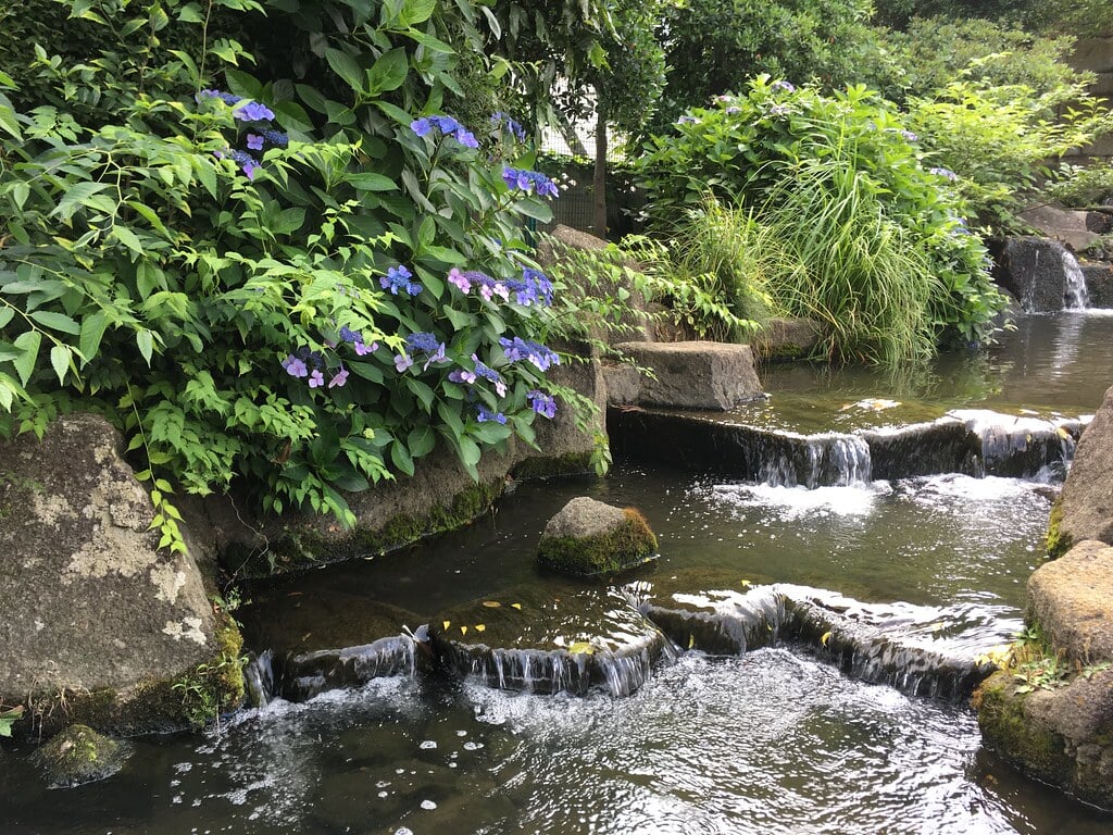 見沼代親水公園の写真4
