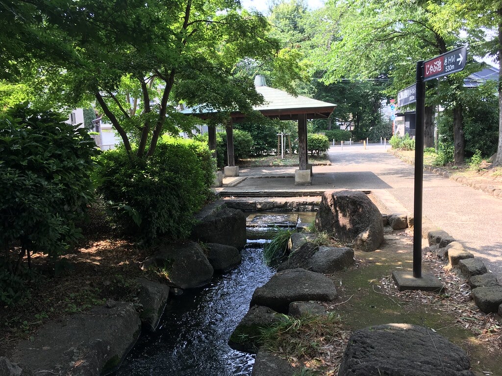 見沼代親水公園の写真5
