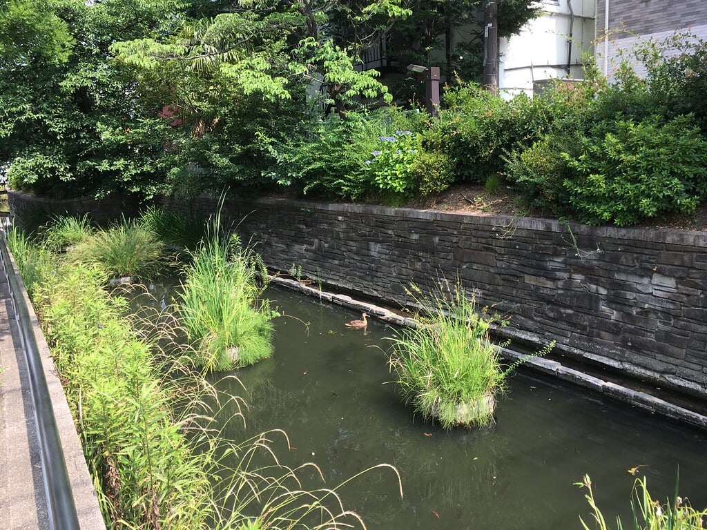 見沼代親水公園の写真7