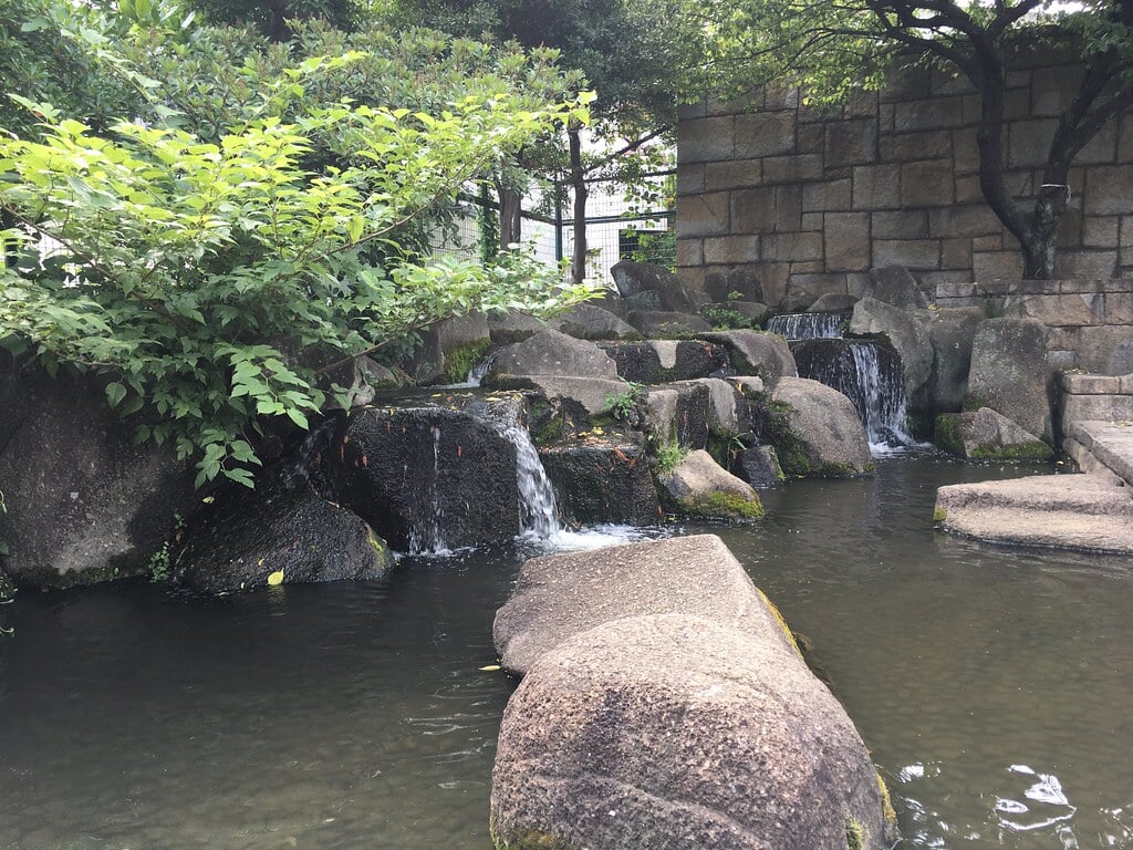 見沼代親水公園の写真8