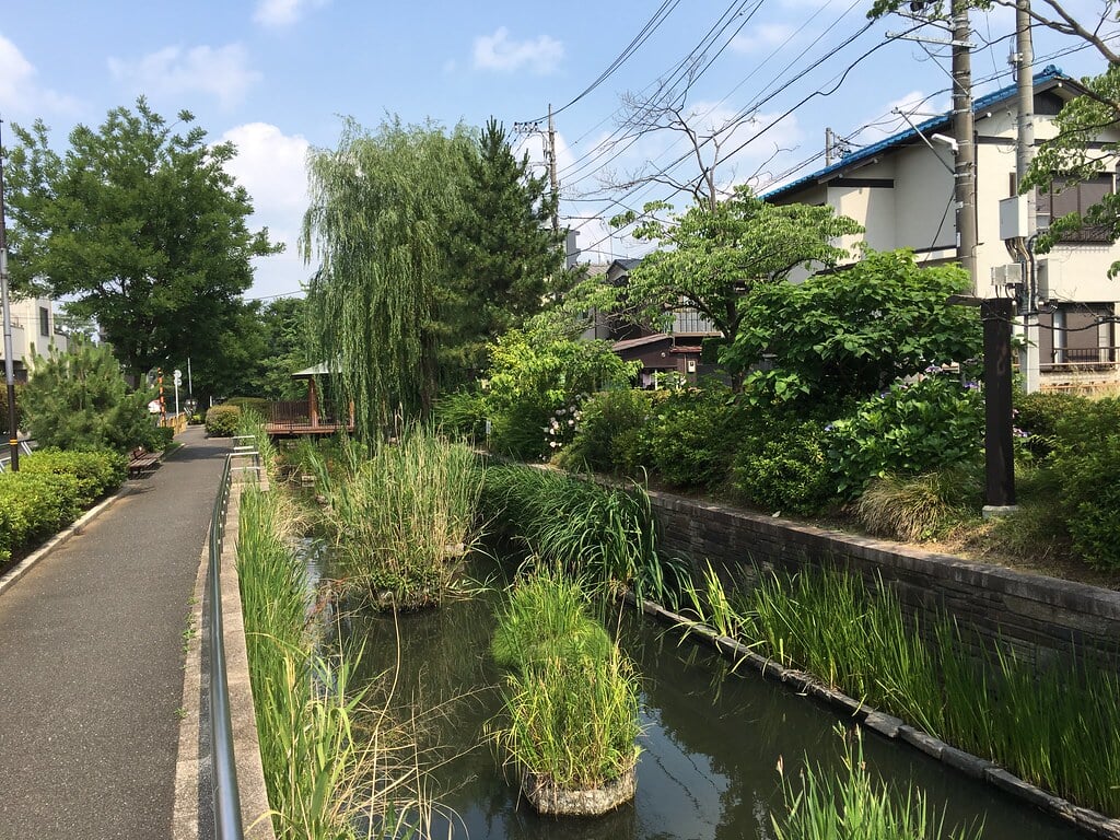 見沼代親水公園の写真9
