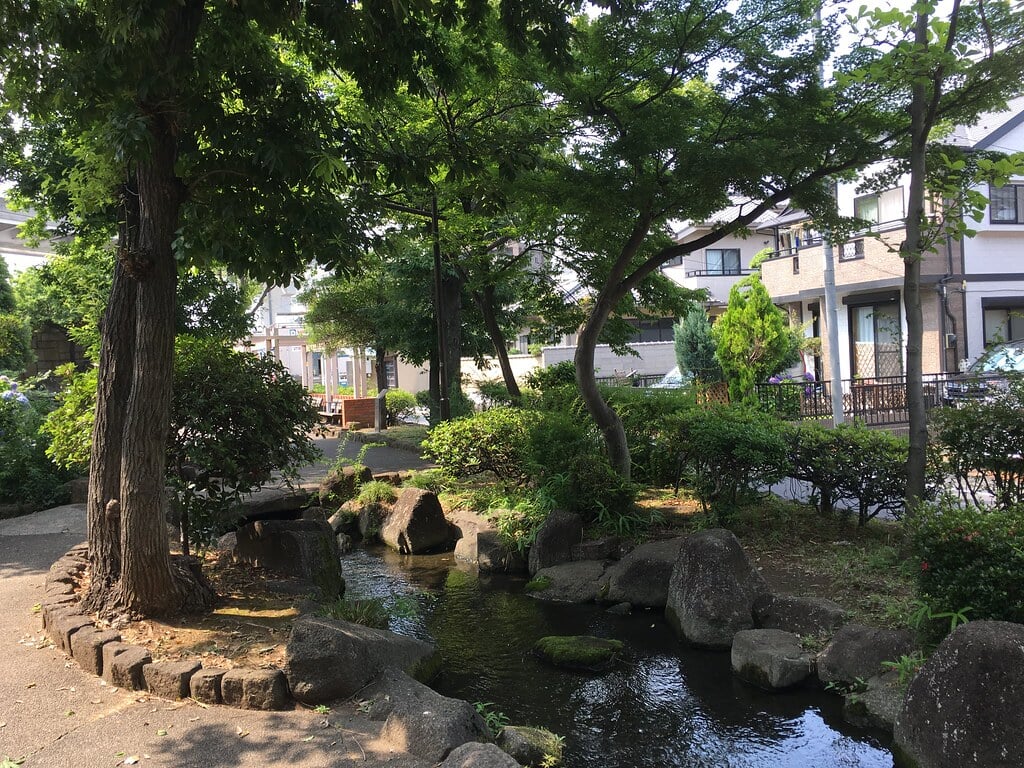 見沼代親水公園の写真10