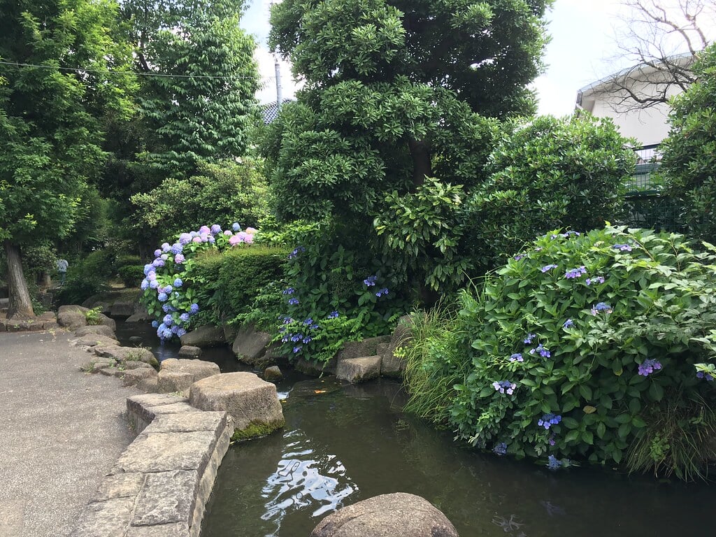 見沼代親水公園の写真11