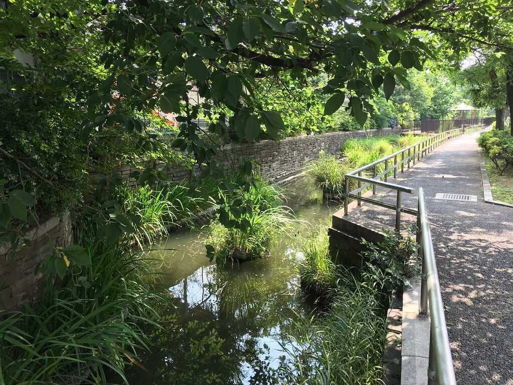 見沼代親水公園の写真13