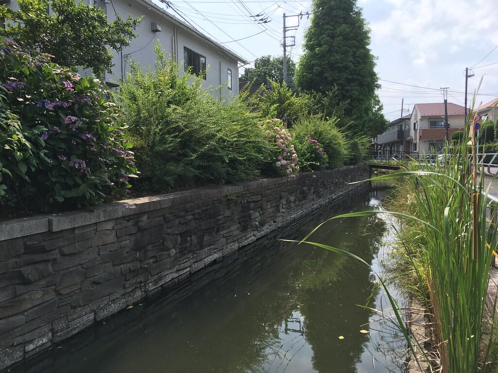 見沼代親水公園の写真14