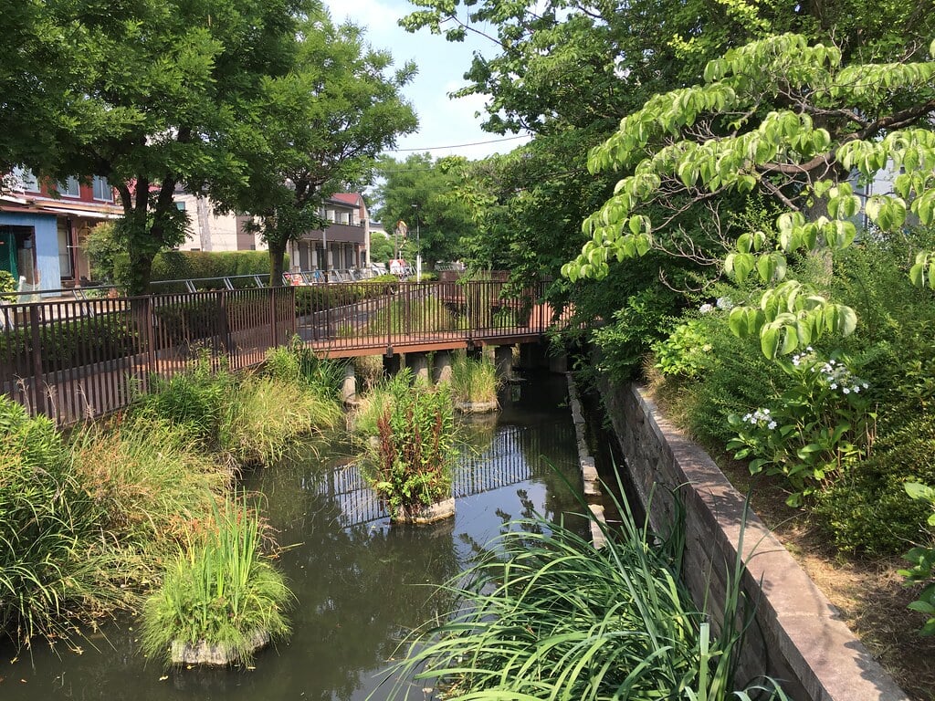 見沼代親水公園の写真15