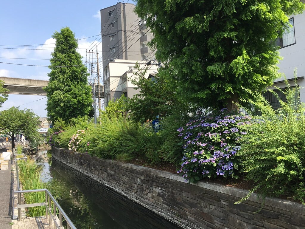見沼代親水公園の写真16