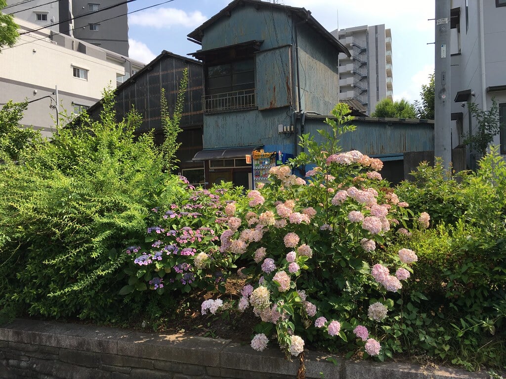 見沼代親水公園の写真17