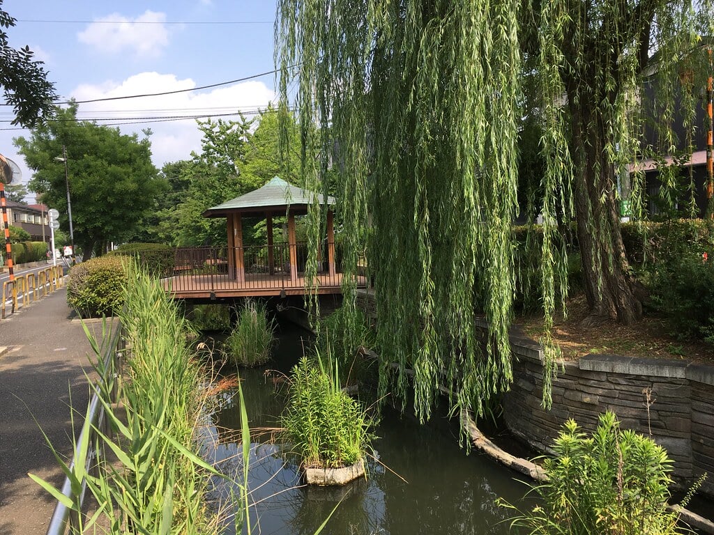 見沼代親水公園の写真18