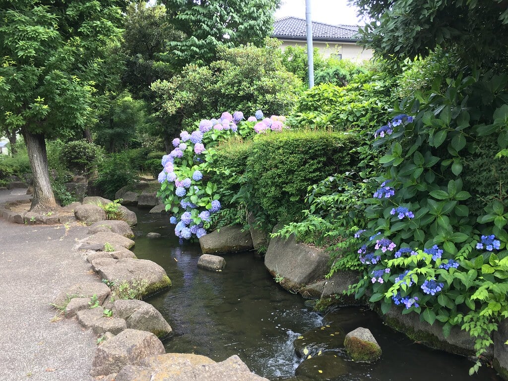 見沼代親水公園の写真1
