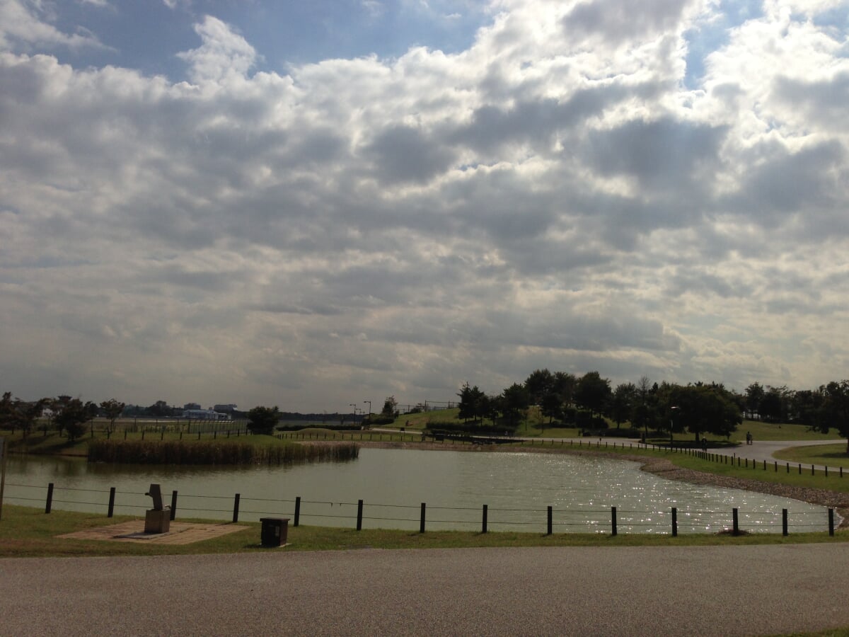 武蔵野の森公園の写真2